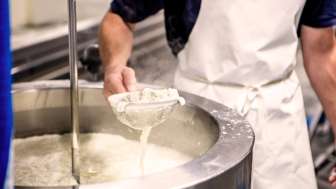 Make your own cheese Make your own cheese