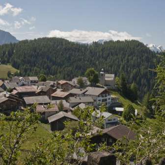 Feldis in summer