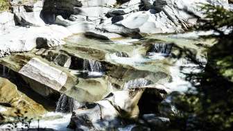 Avers Rhine in summer