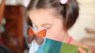 2026 Story Reading a children's book aloud (Pixabay)
