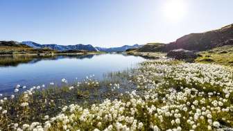 The Flüeseen in the Avers