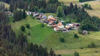 Portein in summer
