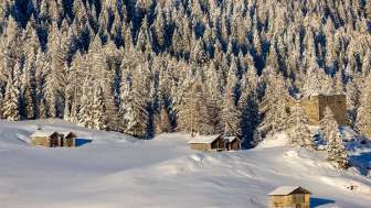 Splügen castle ruins