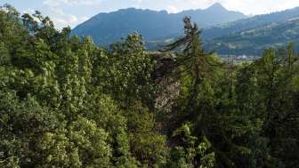 The overgrown Hasensprung ruin in Rodels