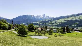 Almens in spring