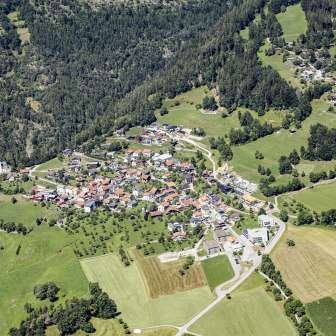Tomils in summer