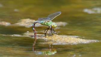 Photography workshop "Small world big"