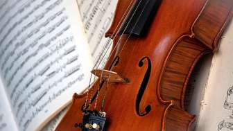 Violin