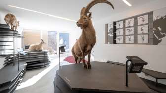 Capricorn exhibition in Wergenstein Capricorn exhibition in Wergenstein