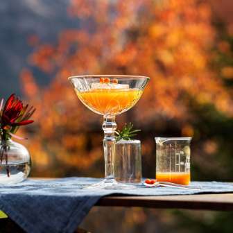 Beverage accompaniment for food perception