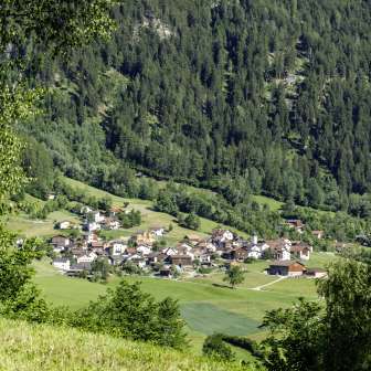 Pignia village in summer