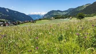 Pratval in spring