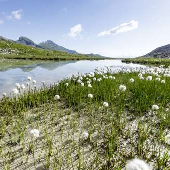 Lai Pintg in the Anarosa moor landscape