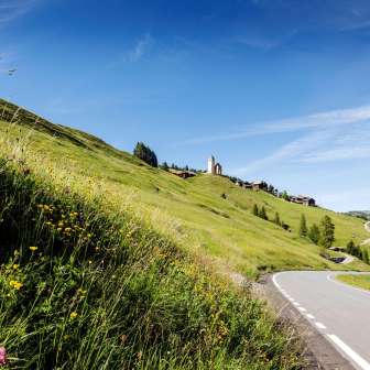 Lohn in spring