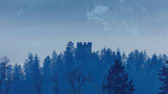 The castle ruins of Neu Sins / Canova