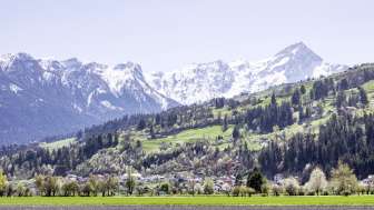 Cazis in spring
