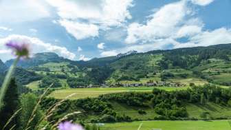 Donat in spring