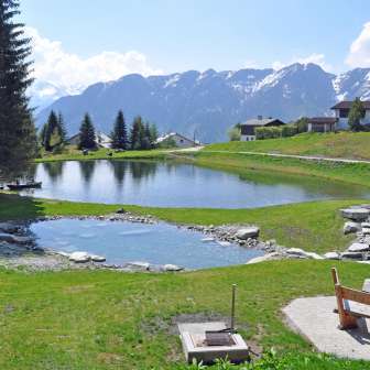 Lake Patrutg in summer