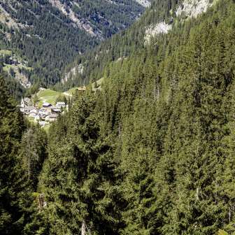 Innerferrera in summer