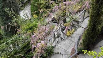 Rothenbrunnen Spa Gardens (2026)