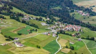 Flerden in summer
