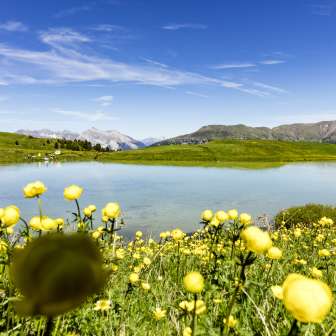The Libi lake on the Schamserberg
