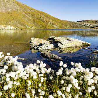 The Flüeseen in the Avers