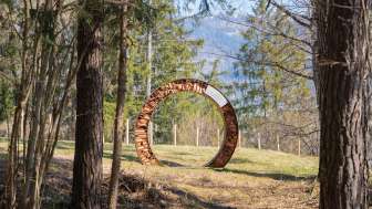 Petrushügel sensory oasis