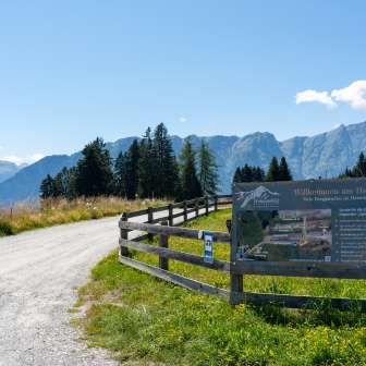 The entrance to the +plus+ pitch in Sarn