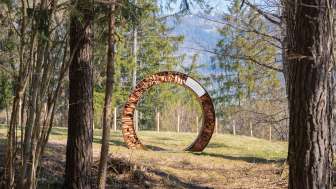 Petrushügel sensory oasis