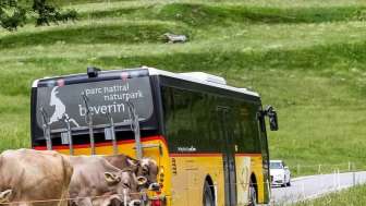 Postbus Schamserberg