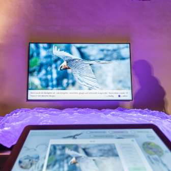 Interactive relief Splügen