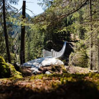 Suspension bridge forest path Innerferrera