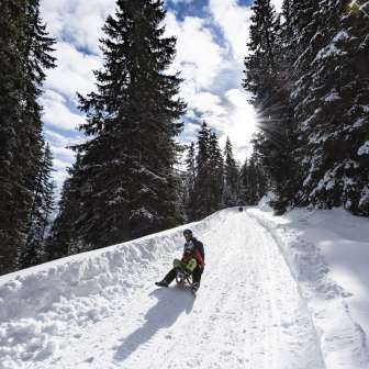 The Dros toboggan run on the Schamserberg