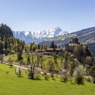 Ortenstein Castle