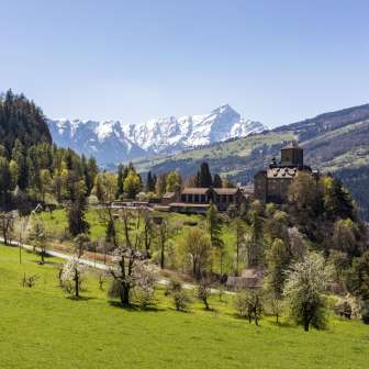 Ortenstein Castle