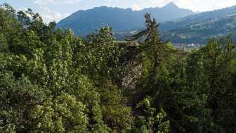 The overgrown Hasensprung ruin in Rodels
