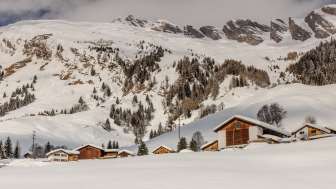 Medels in the Rheinwald