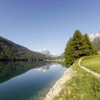 Lake Sufner in summer