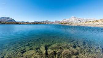 Suretta Lakes above Splügen