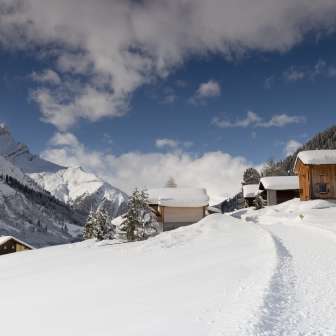 Medels in the Rheinwald in winter