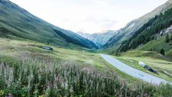 The Val Madris in summer
