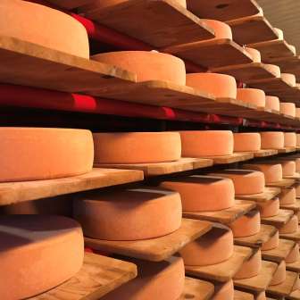 The cheese cellar of the Alp dil Plaun in Feldis