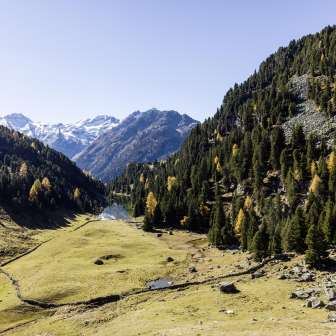 The Lai Lung in the Herbt