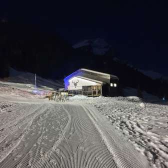 The SELVO at night