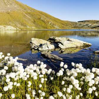 The Flüeseen in the Avers