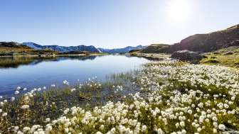 The Flüeseen in the Avers