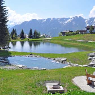 Lake Patrutg in summer