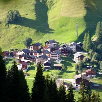 Medels in the Rheinwald in summer