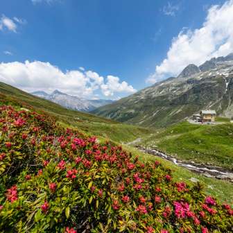The Berghaus Splügenpass in spring